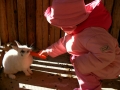 animali_cibo