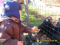 animali_cibo2
