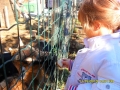 animali_cibo3