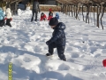 neve