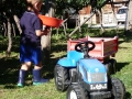 vendemmia