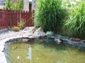 eDSC_0051